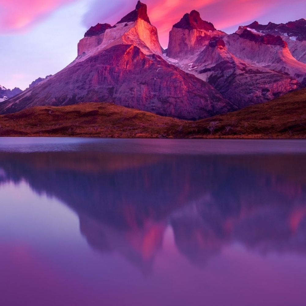 Meet your Posher, Flor